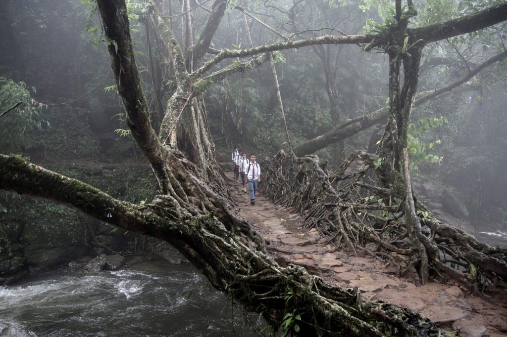 Mawsynram, Meghalaya, backpacking north east india