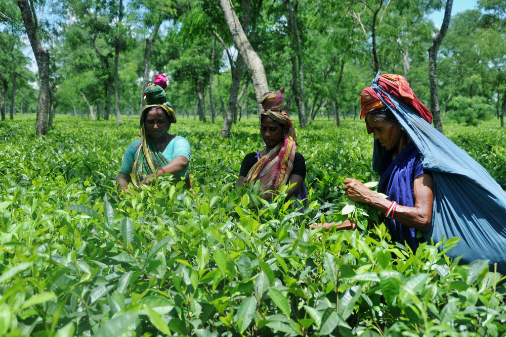 women north east india, bbackpacking north east india